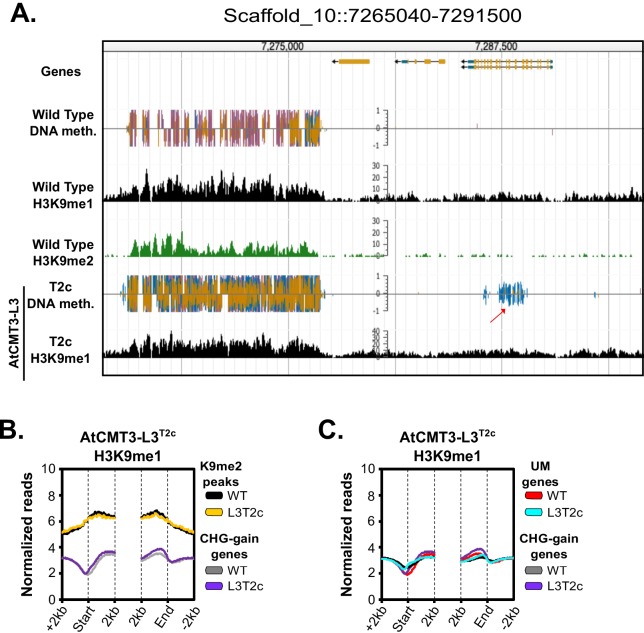 Figure 3—figure supplement 2.