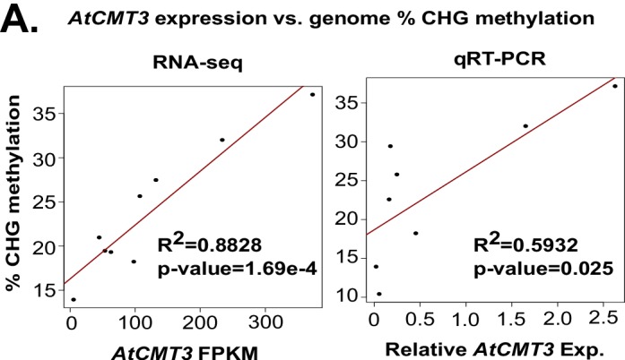 Figure 1—figure supplement 5.