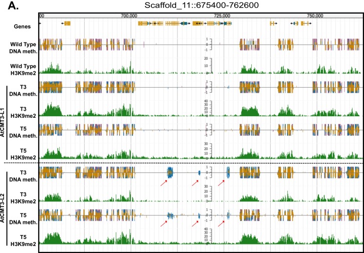 Figure 3—figure supplement 1.