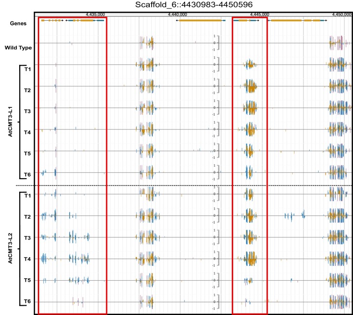 Figure 1—figure supplement 2.