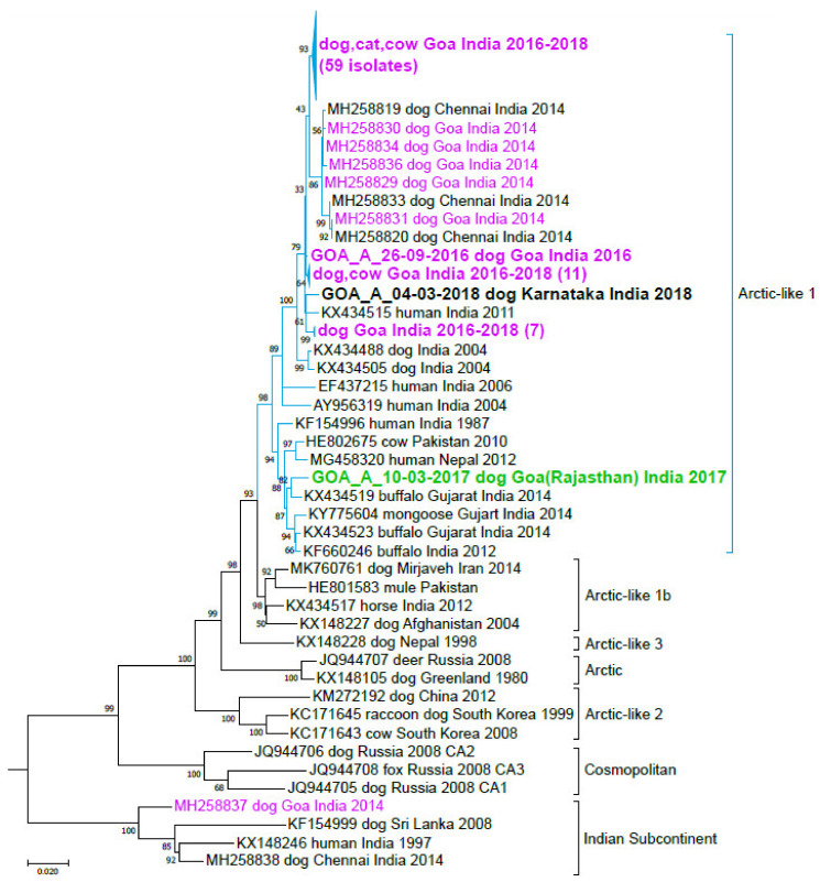 Figure 2