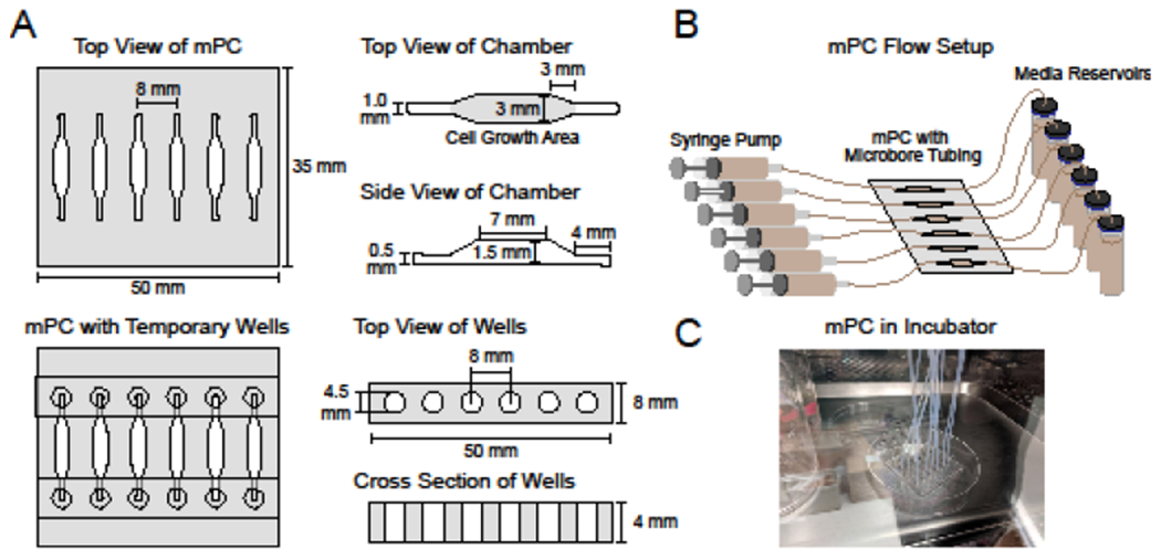 Figure 1: