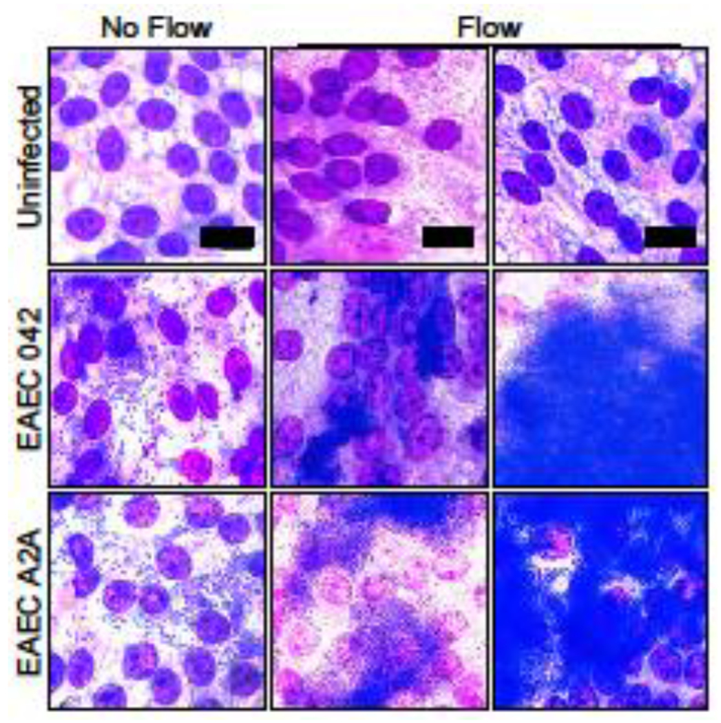 Figure 4: