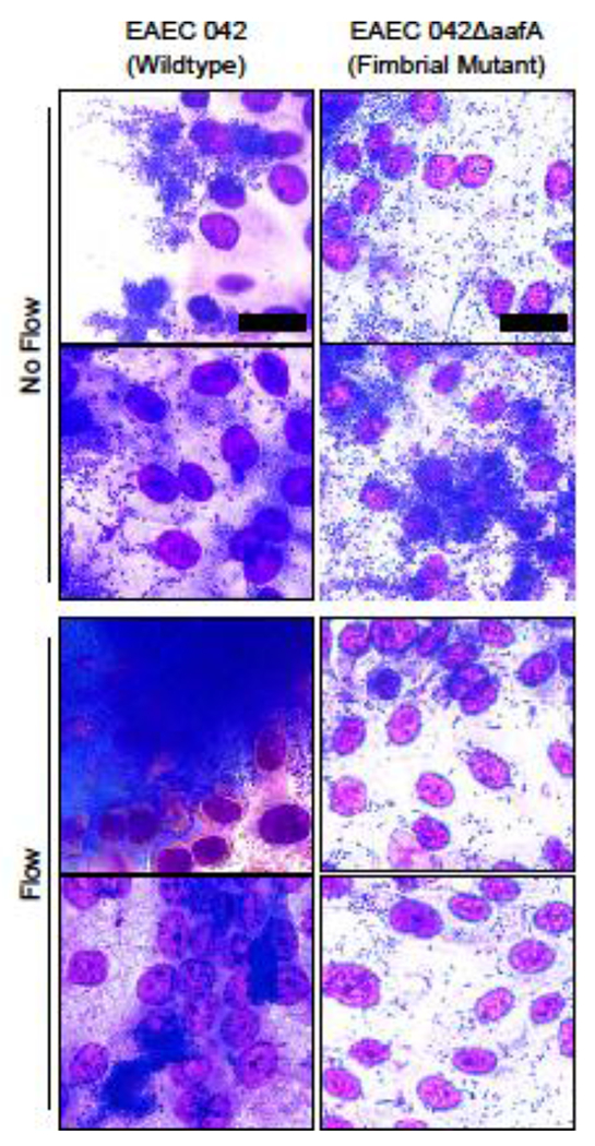 Figure 5: