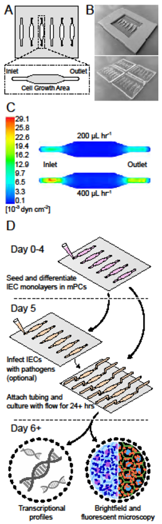 Figure 2: