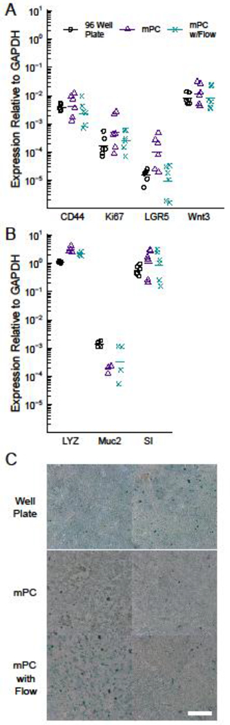 Figure 3: