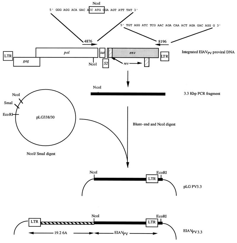 FIG. 1