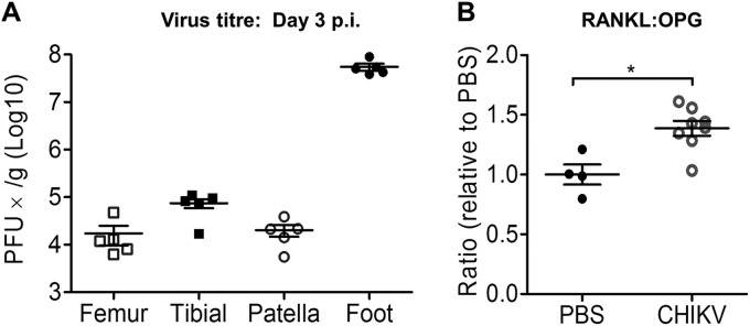 FIG 3