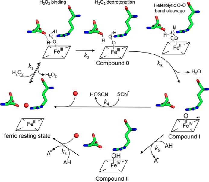 Figure 9.