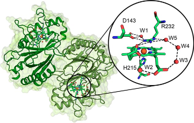 Figure 7.