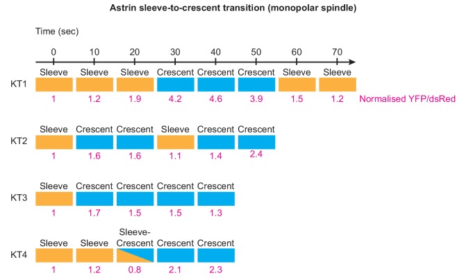 Figure 1—figure supplement 1.