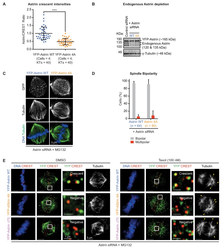 Figure 3—figure supplement 3.