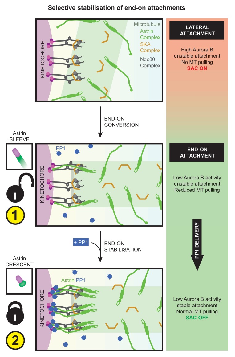 Figure 9.