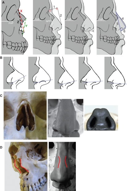 Fig. 7