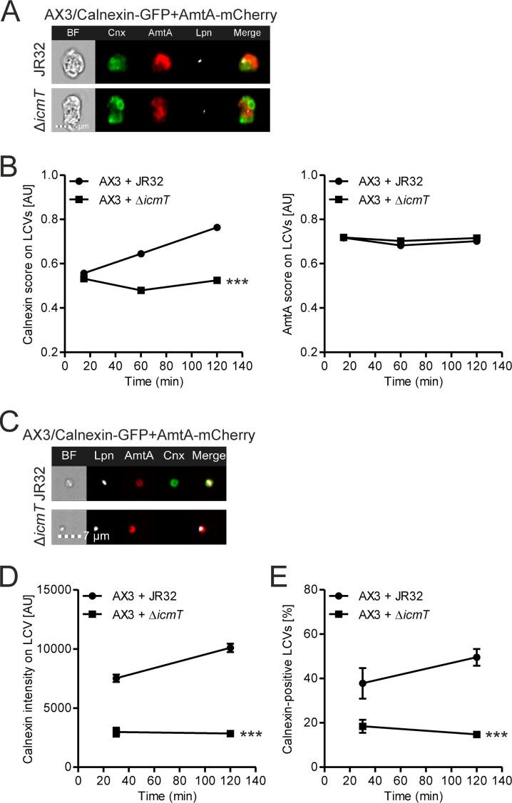 FIG 4