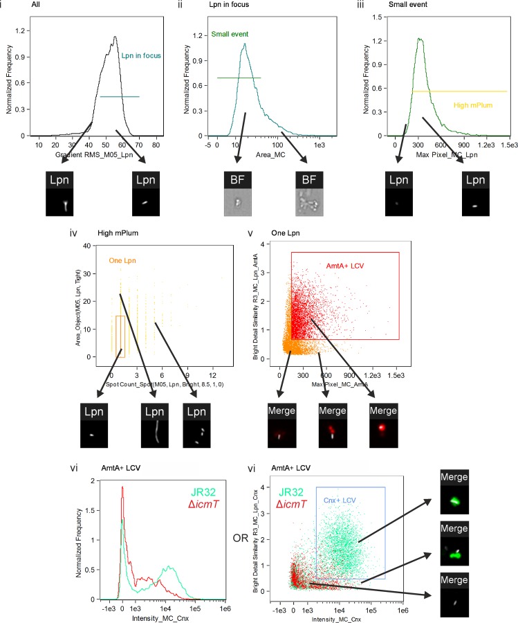 FIG 2