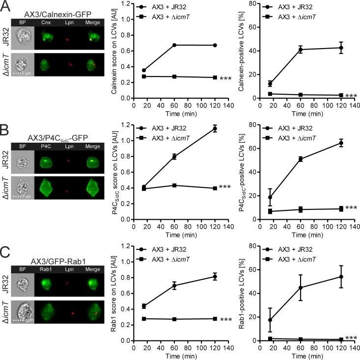 FIG 3