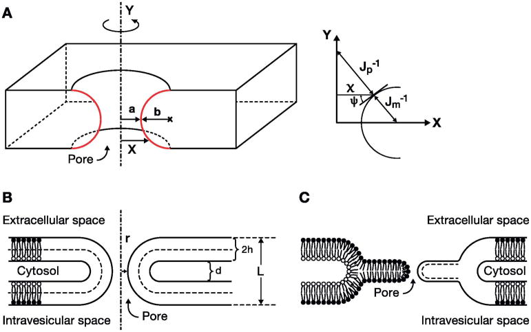 Fig. 8