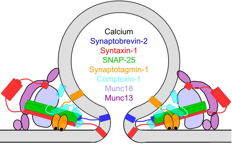 Fig. 9