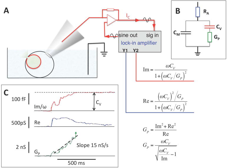 Fig. 3