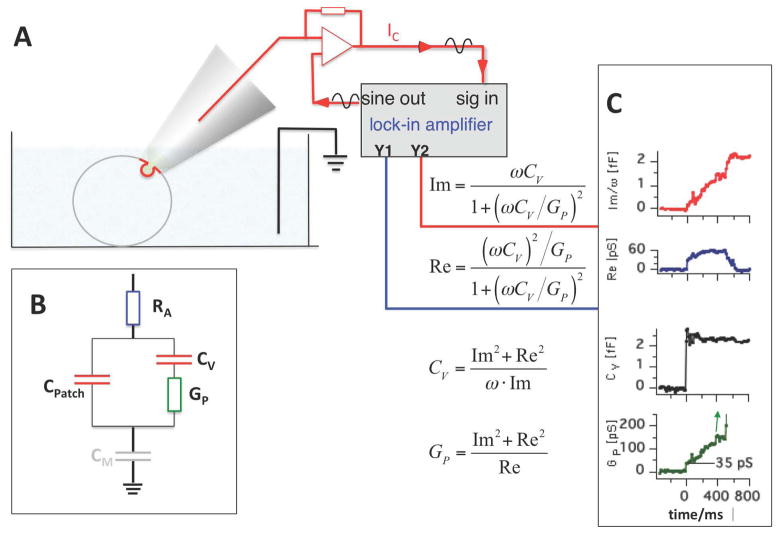 Fig. 4