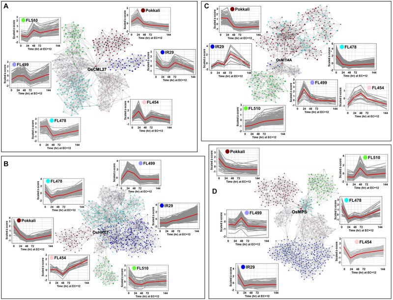 FIGURE 6