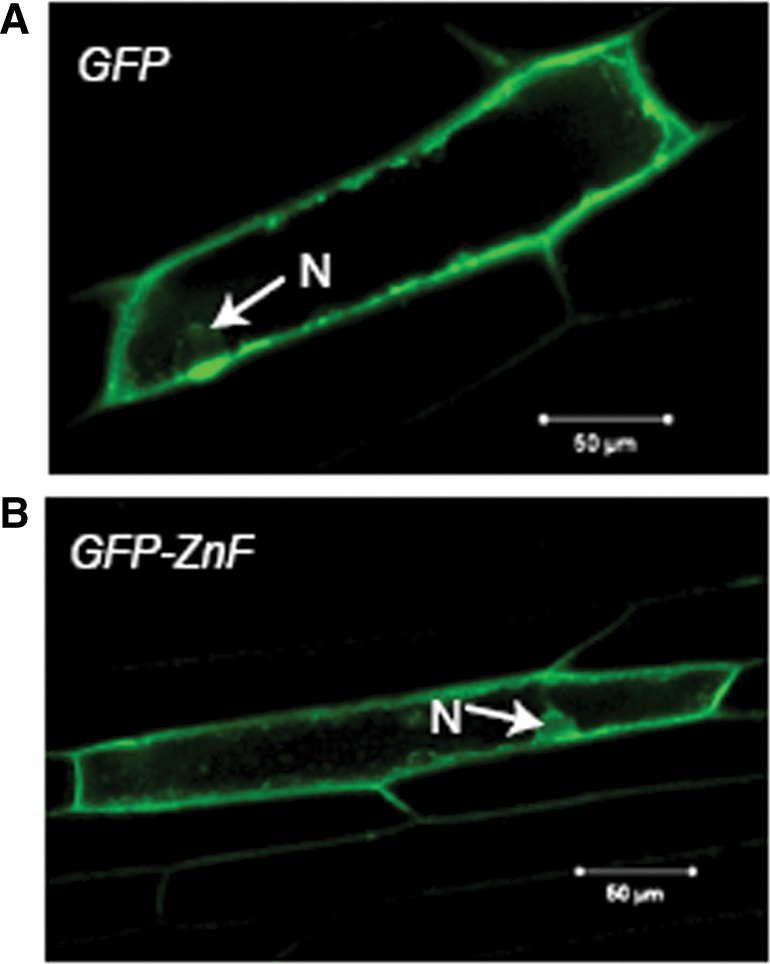 Figure 5