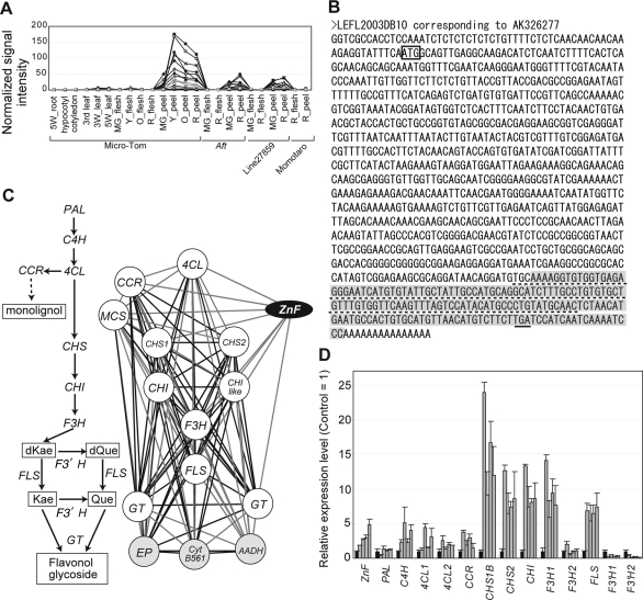 Figure 4