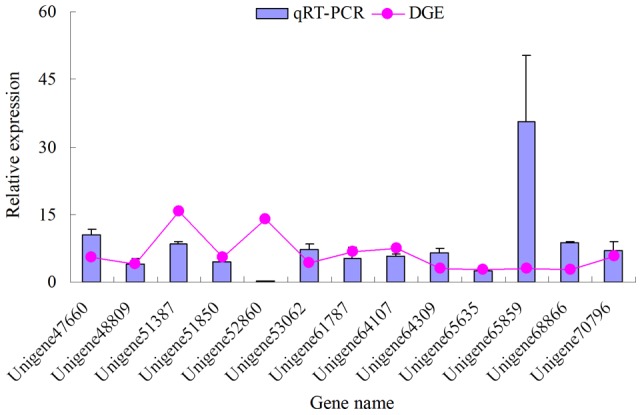 Figure 7