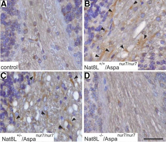 Figure 10.