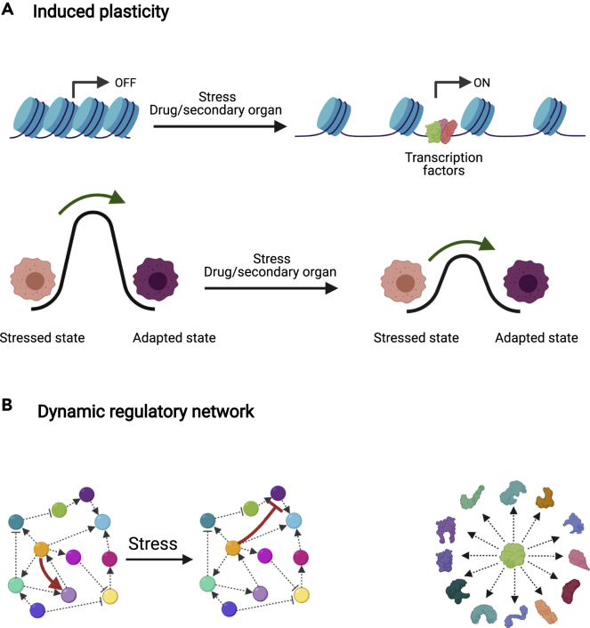 Figure 2