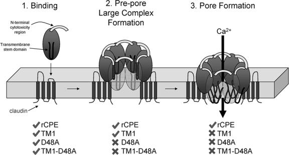 FIG. 9.