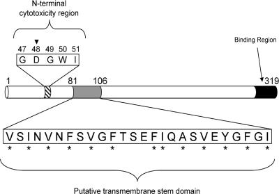 FIG. 1.