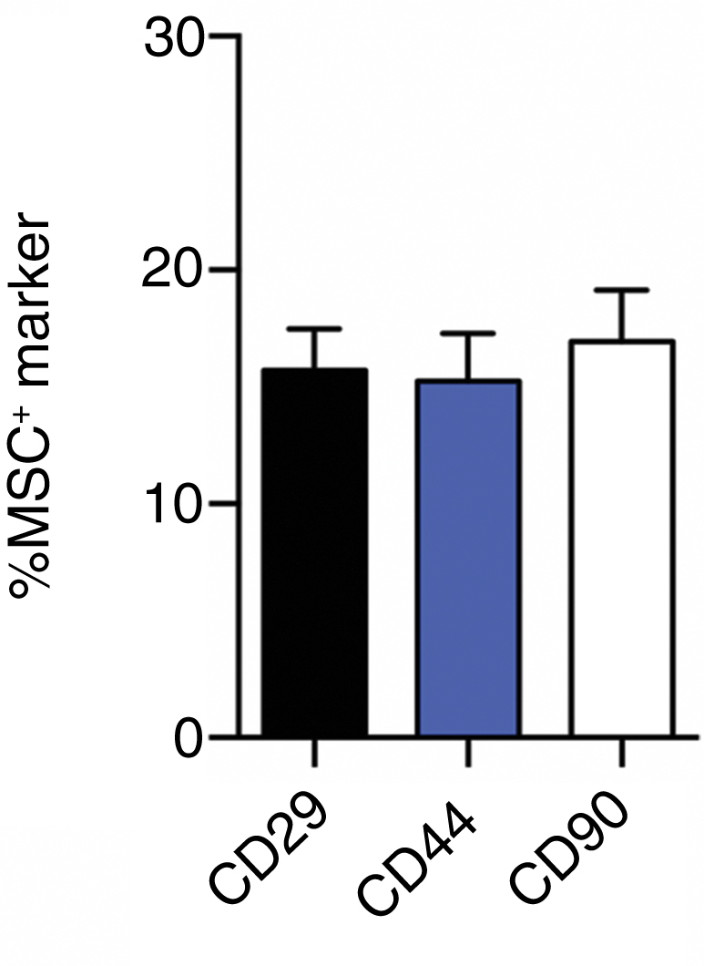 Figure 3