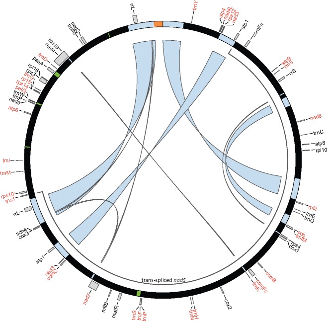 Fig. 2.