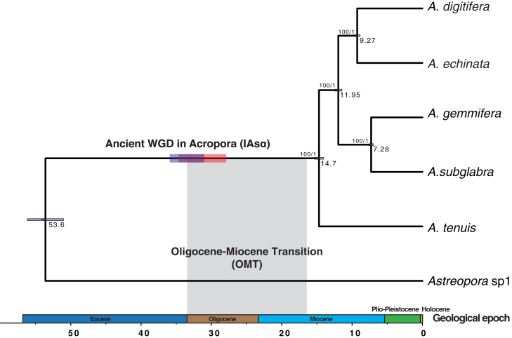 Figure 1