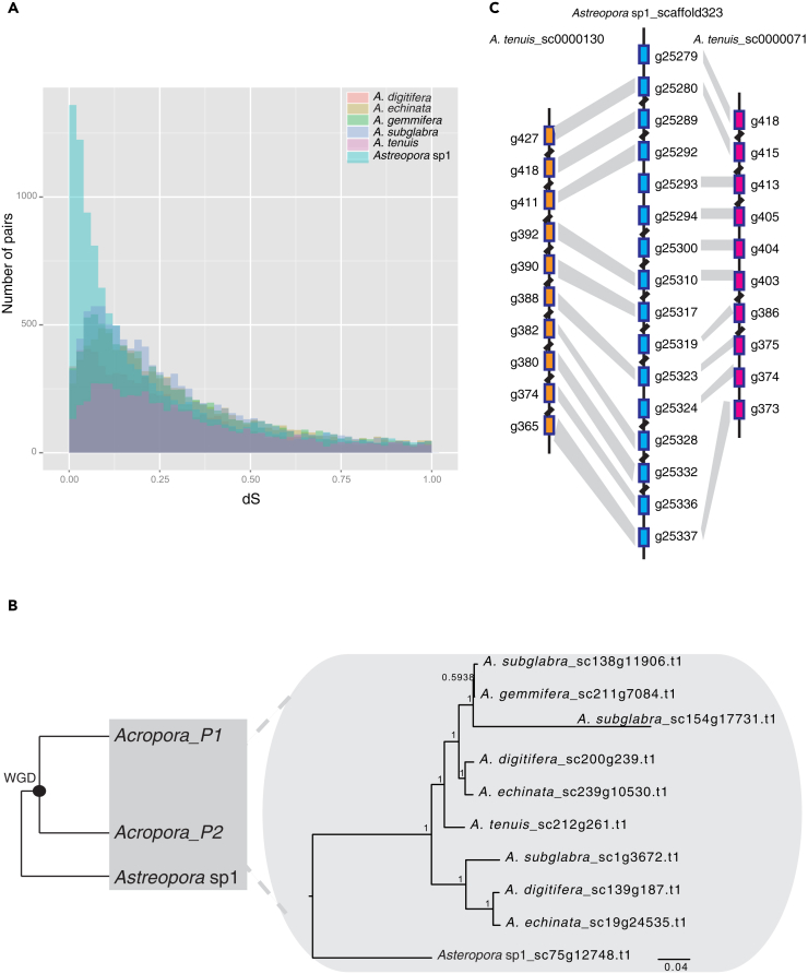 Figure 2