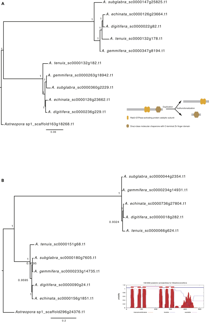 Figure 3