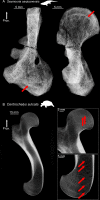 Figure 8—figure supplement 1.