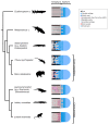 Figure 11.