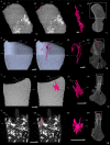 Figure 10.