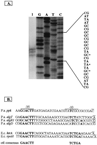 FIG. 5