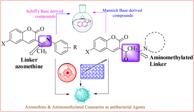 graphic file with name d4ra05756b-ga.jpg