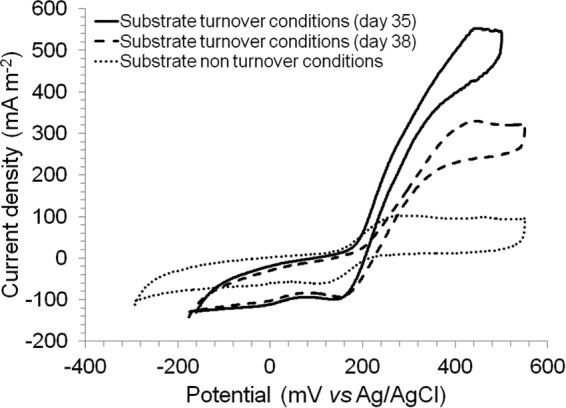 FIG 2