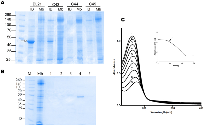 Figure 6