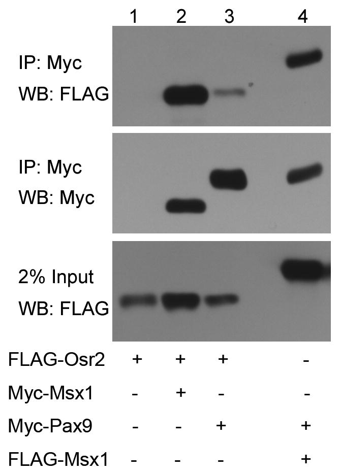 Fig. 9