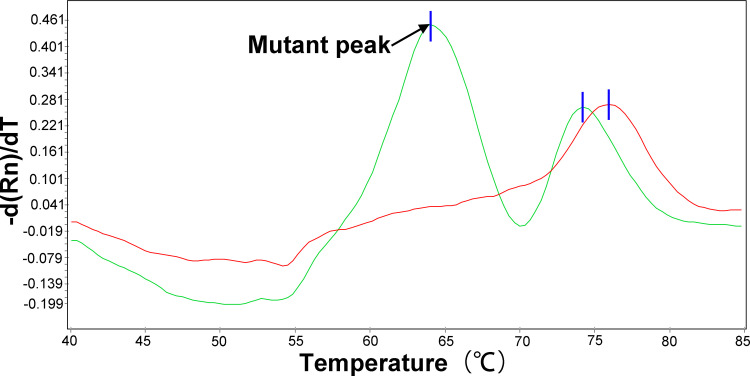 FIG 2