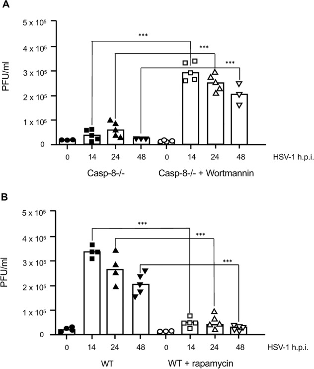 Fig. 9