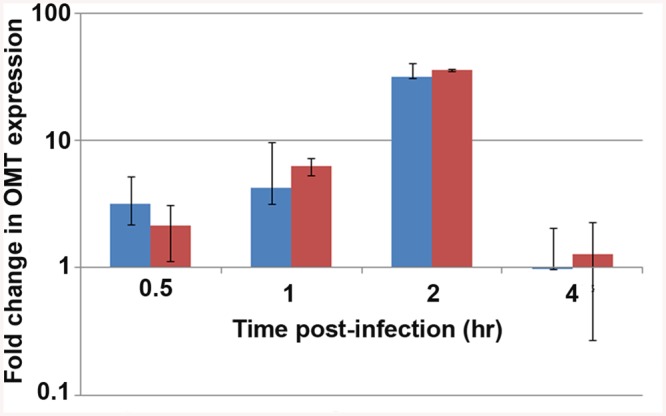 Fig 4