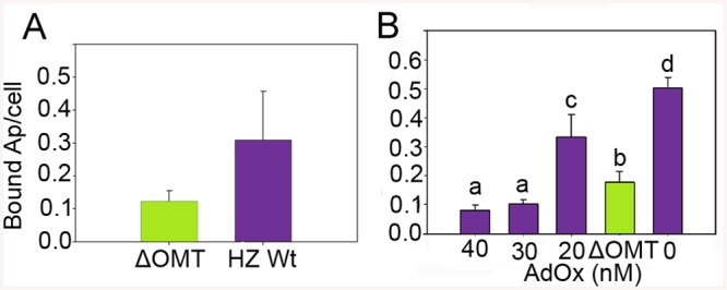 Fig 3